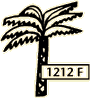 Palm tree