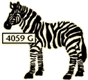 Zebra