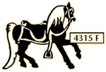 Oak Bluffs carousel horse